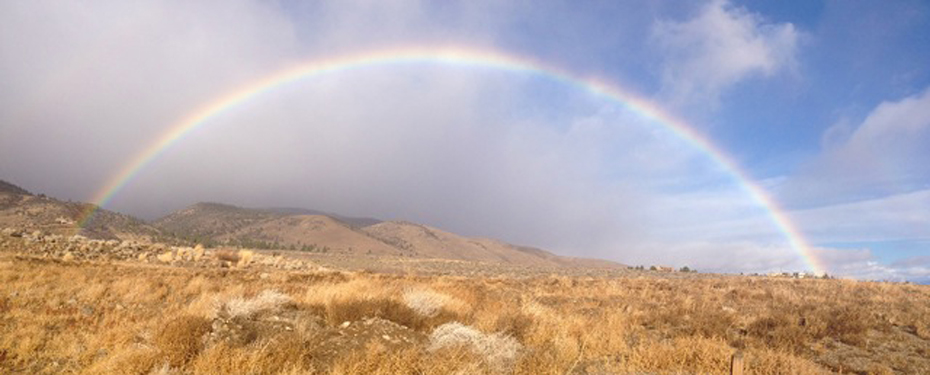 Rainbow - Galena Times